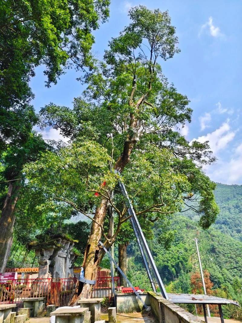 1770173639456190.jpg 12.jpg