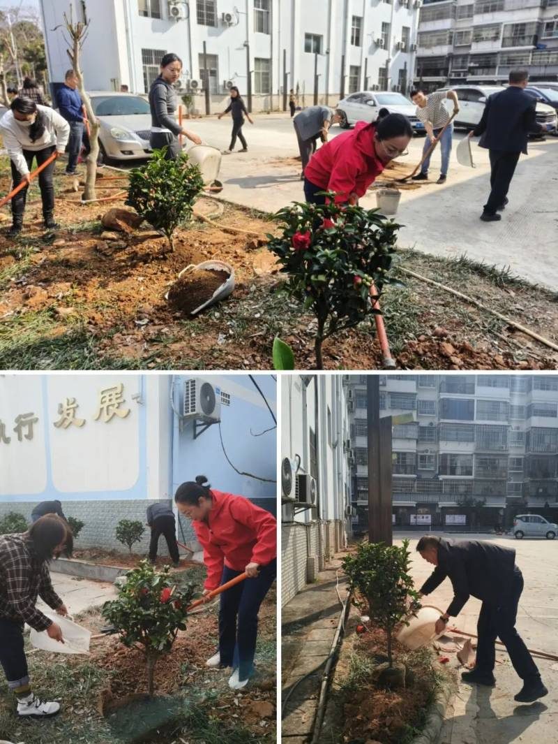 1770358143446192.jpg 1 (1).jpg