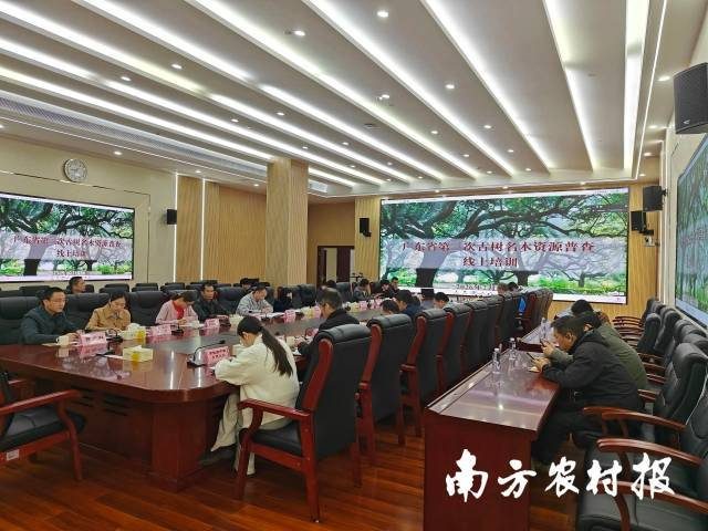 1770358993296880.jpg 1 (1).jpg