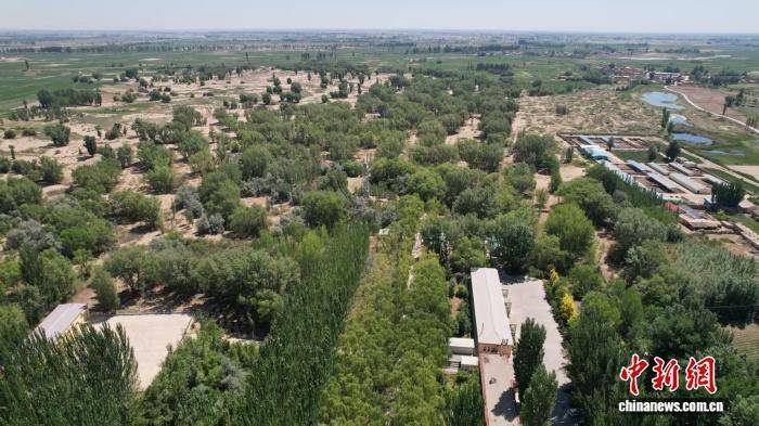 1770606295920784.jpg 1 (1).jpg