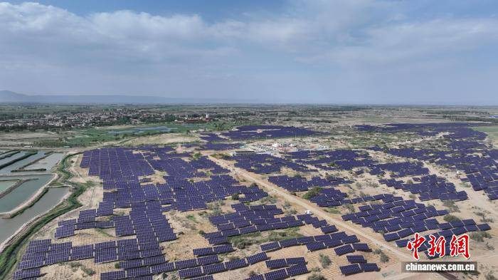 1770606330482259.jpg 3 (1).jpg