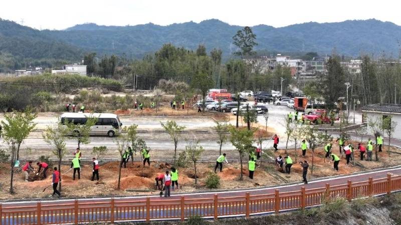 1770792147296866.jpg 4 (1).jpg