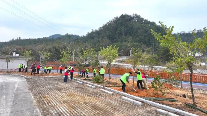 1770792163526238.jpg 5 (1).jpg