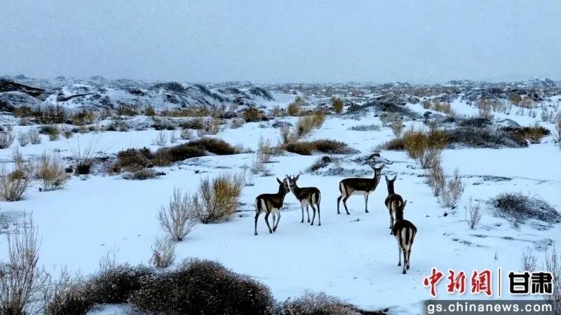 1770882242168881.jpg 2 (1).jpg