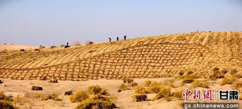 1770882249147867.jpg 3 (1).jpg