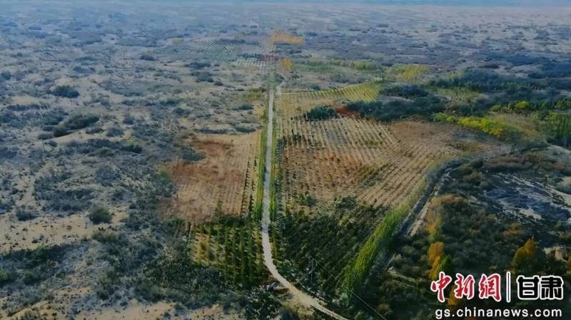 1770882342623050.jpg 5 (1).jpg