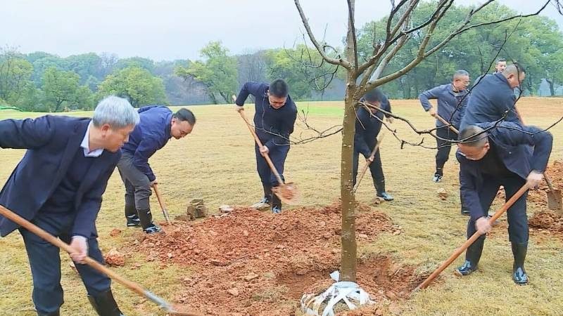 1771988823625301.jpg 2 (1).jpg