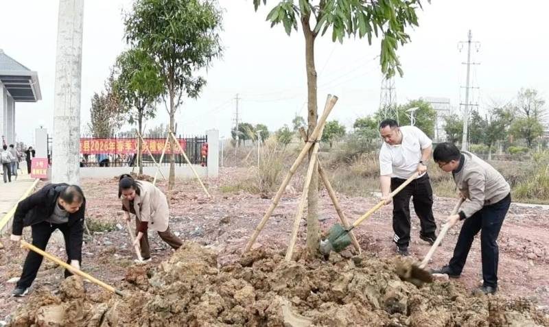 1771989117705707.jpg 5.jpg