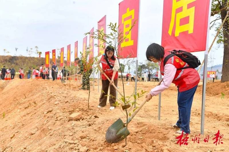 1771990461585517.jpg 1771990461585517.jpg