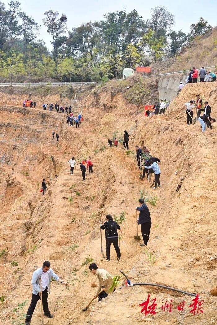 1771990463902978.jpg 5.jpg