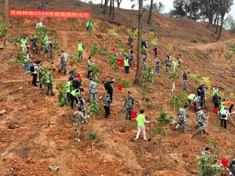 1771998203981051.jpg 6 (1).jpg