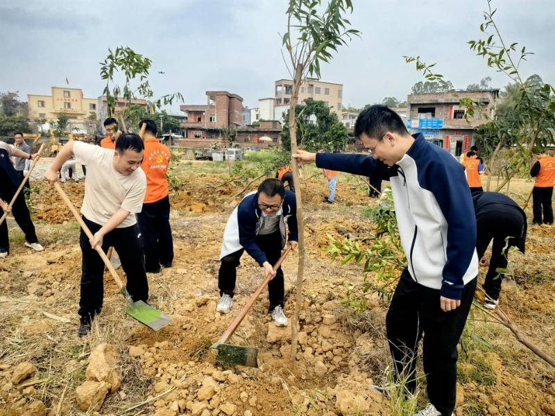 1772075788414715.jpg 3.jpg