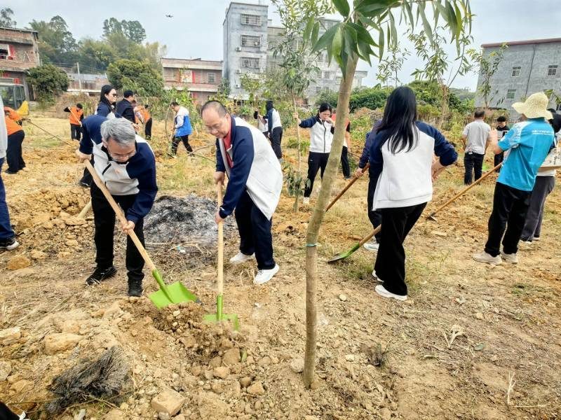 1772075793988026.jpg 4.jpg