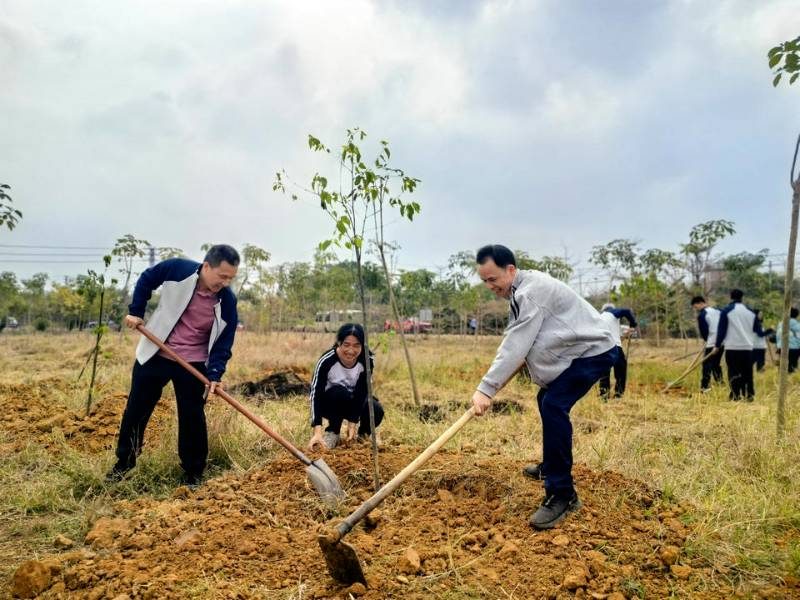 1772075802505814.jpg 5.jpg