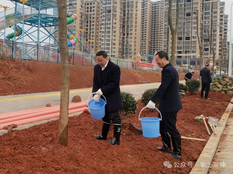 1772076531590135.jpg 1 (1).jpg