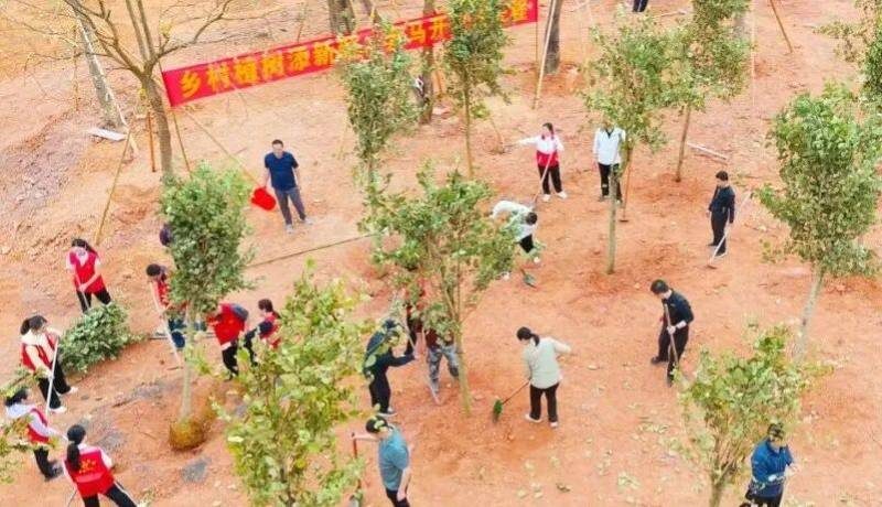 1772077275572404.jpg 2 (1).jpg