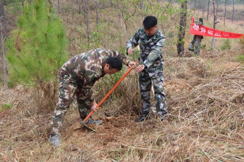 1772084725607975.jpg 3 (1).jpg