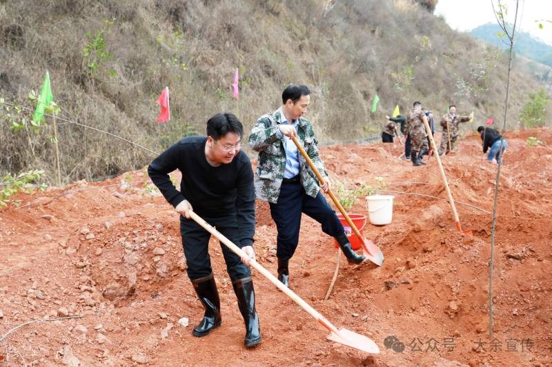 1772088418453640.jpg 4.jpg