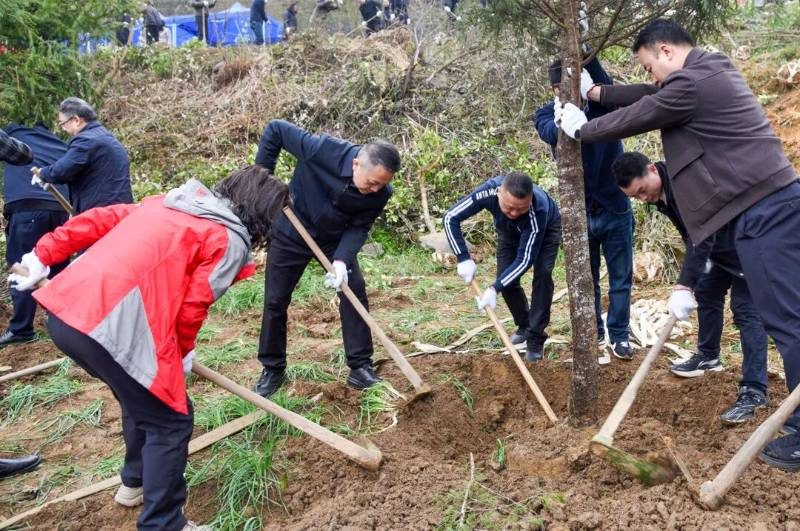 1772089106758989.jpg 8.jpg