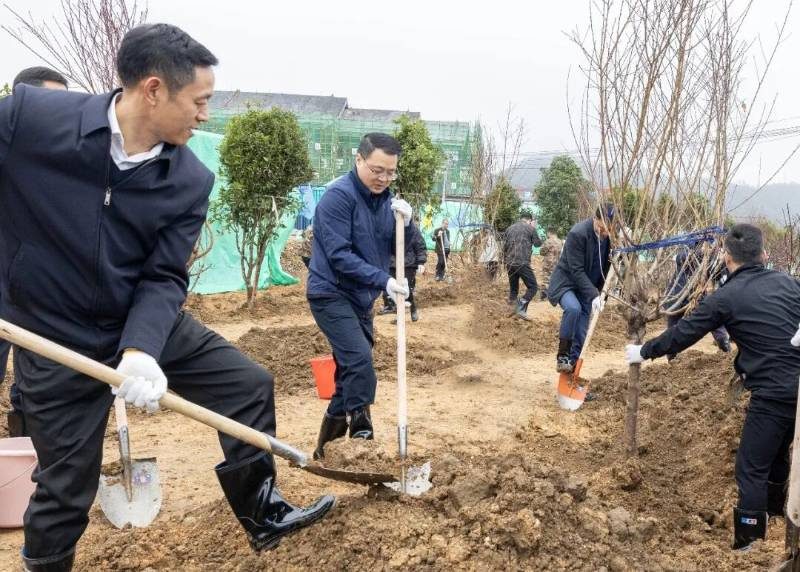 1772089275648235.jpg 9.jpg