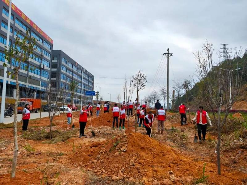 1772090987441263.jpg 10.jpg