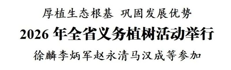 1772335087668724.jpg 1.jpg