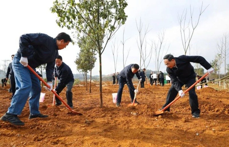 1772335095212637.jpg 2.jpg