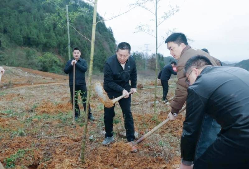 1772436855476066.jpg 7.jpg