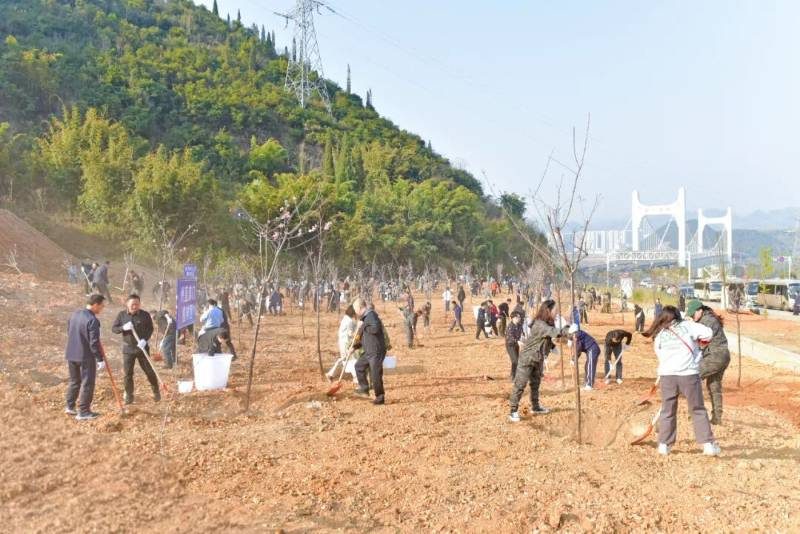 1772437000674151.jpg 11.jpg