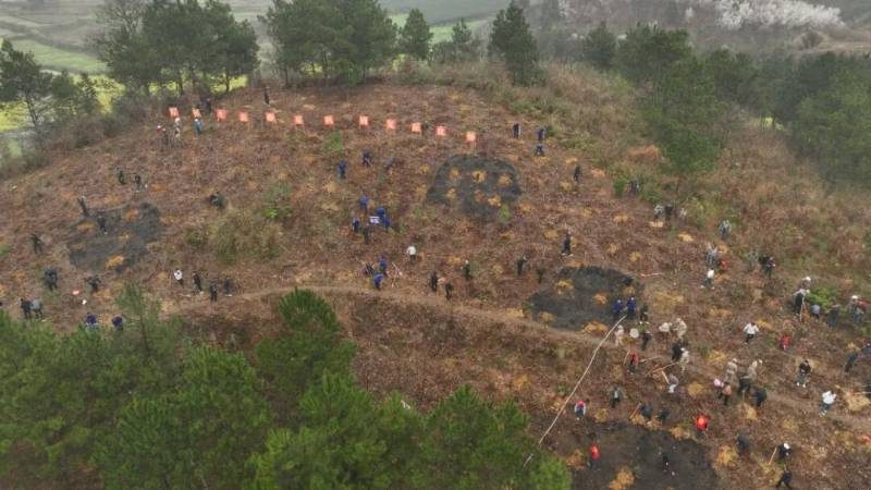 1772439119768388.jpg 26.jpg