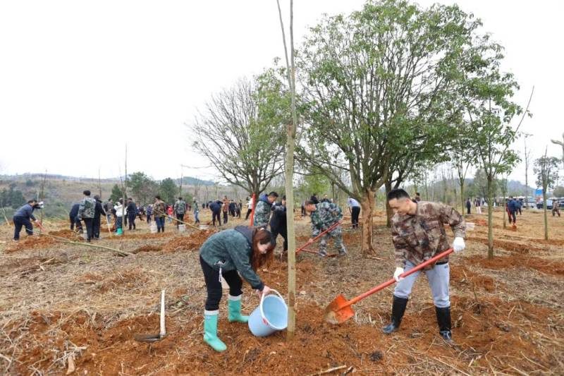 1772498383658405.jpg 14 (1).jpg