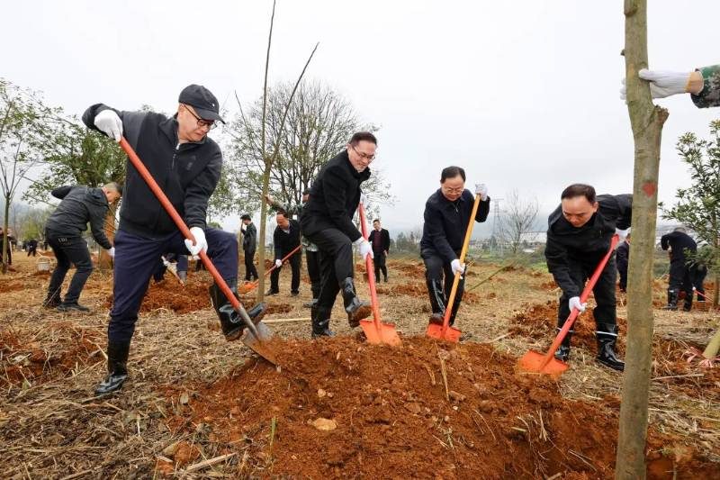 1772498401930310.jpg 13 (1).jpg