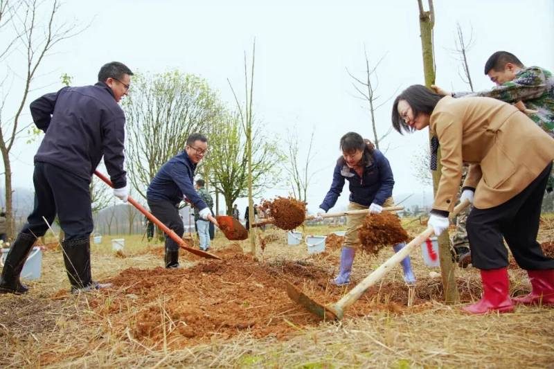 1772498449890564.jpg 15 (1).jpg