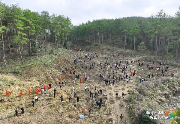 1772499305737767.jpg 1.jpg