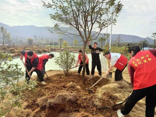 1772500001205831.jpg 7.jpg