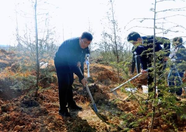 1772500391736354.jpg 9.jpg