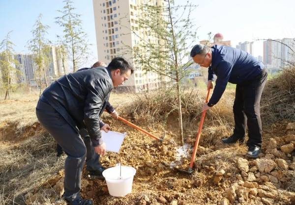 1772500402698704.jpg 10.jpg