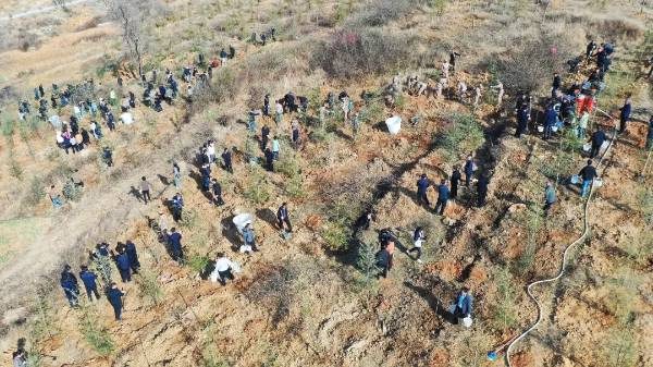 1772500412790684.jpg 11.jpg