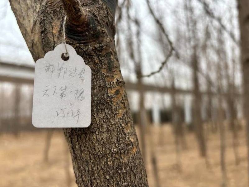 1772606412984911.jpg 33.jpg