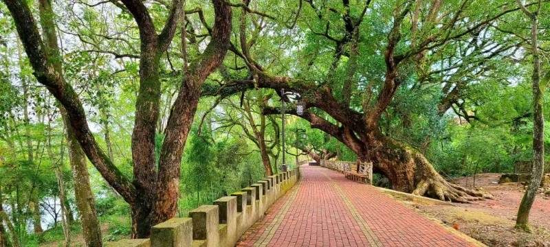 1772693402820199.jpg 2 (1).jpg