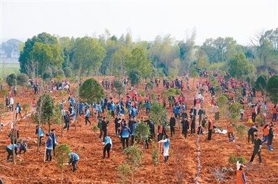 1773643636428858.jpg 2.jpg