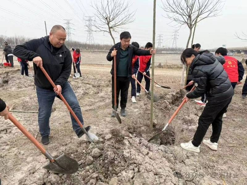 1773737028674477.jpg 2 (1).jpg