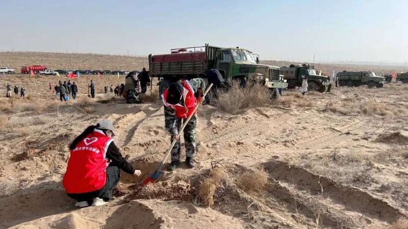 1773803041522378.jpg 1 (1).jpg