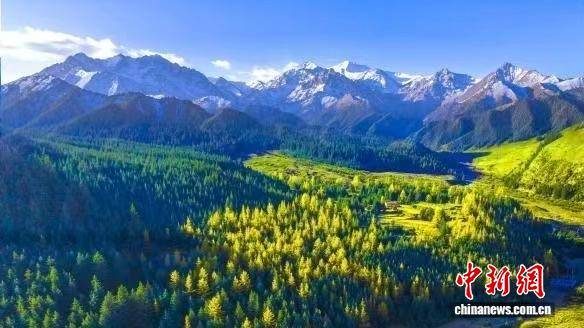 1773812340201972.jpg 1773812340201972.jpg