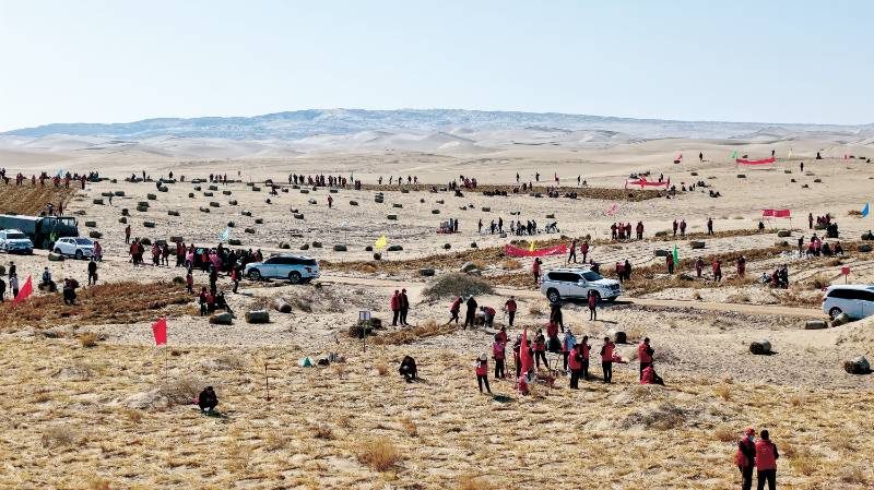 1773826552159612.jpg 4 (1).jpg