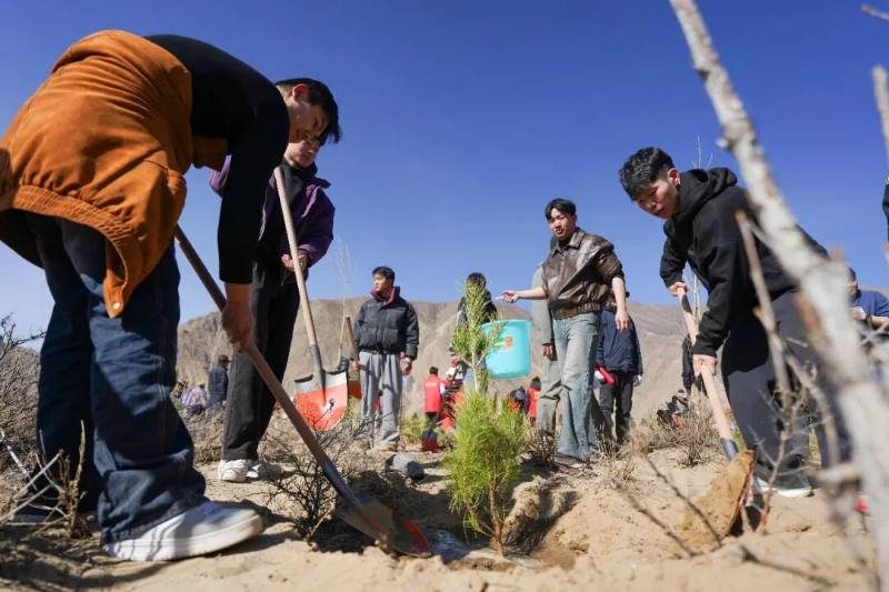 1774333425259583.jpg 2.jpg