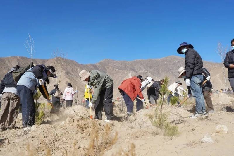 1774333442726438.jpg 3.jpg