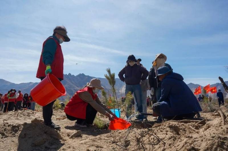 1774333480561707.jpg 5.jpg