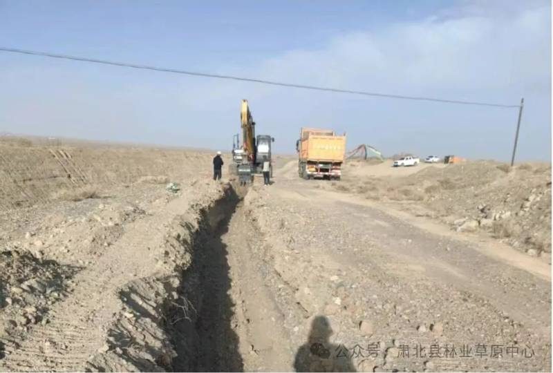 1774336643560501.jpg 3 (1).jpg