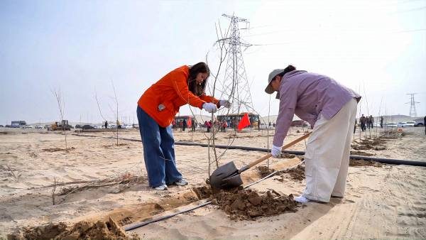 1774338695580629.jpg 3 (1).jpg